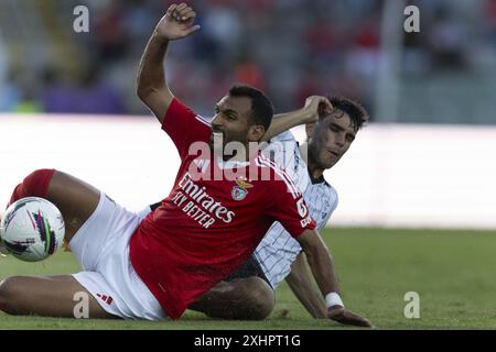 Águeda, 12/2024: Benfica trifft auf Farense im Estádio Municipal de Águeda in einem Freundschaftsspiel. Pavlidis (Pedro Correia/Global Imagens) Credit: Atlantico Press/Alamy Live News Stockfoto