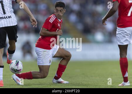 Águeda, 12/2024: Benfica trifft auf Farense im Estádio Municipal de Águeda in einem Freundschaftsspiel. (Pedro Correia/Global Imagens) Credit: Atlantico Press/Alamy Live News Stockfoto