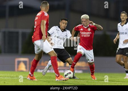 Águeda, 12/2024: Benfica trifft auf Farense im Estádio Municipal de Águeda in einem Freundschaftsspiel. Prestianni (Pedro Correia/Global Imagens) Credit: Atlantico Press/Alamy Live News Stockfoto