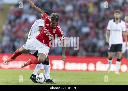 Águeda, 12/2024: Benfica trifft auf Farense im Estádio Municipal de Águeda in einem Freundschaftsspiel. Rollheiser (Pedro Correia/Global Imagens) Credit: Atlantico Press/Alamy Live News Stockfoto