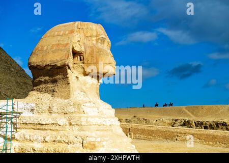 Ägypten, Kairo, Gizeh, von der UNESCO als Weltkulturerbe gelistet, die Sphinx Stockfoto