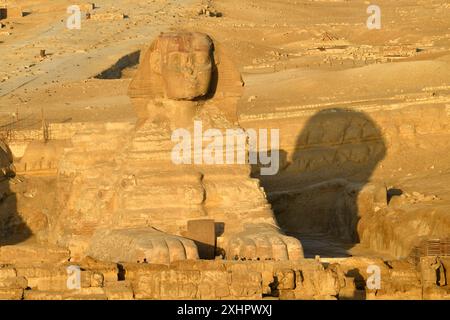Ägypten, Kairo, Gizeh, von der UNESCO als Weltkulturerbe gelistet, die Sphinx Stockfoto
