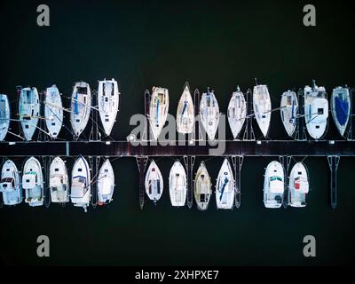 Frankreich, Côtes d'Armor, Binic Etables sur Mer, Blick von oben auf den Hafen und seine Boote, die an den Pontons festgemacht sind (Luftaufnahme) Stockfoto