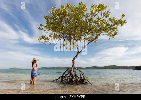 Philippinen, Palawan, Calamians Archipel, Popototan Island, junge philippinische Frau, die einen Mangrovenbaum am Strand beobachtet Stockfoto