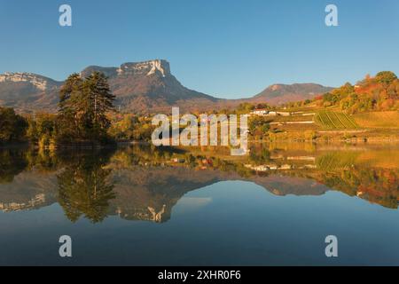 Frankreich, Savoie, natürlicher Regionalpark von Chartreuse, Les Marches, Wein von Savoyen, der See von Saint Andre Stockfoto