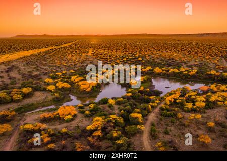 Namibia, Otjozondjupa Region, Otjiwarongo, Cheetah Conservation Fund (CCF), Luftaufnahme, das Waterberg-Hochplateau im Hintergrund (Luftaufnahme) Stockfoto
