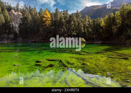 Frankreich, Hautes-Alpes, Gemeinde Névache, Etroite-Tal im Herbst, Grüner See (1834 m) Stockfoto