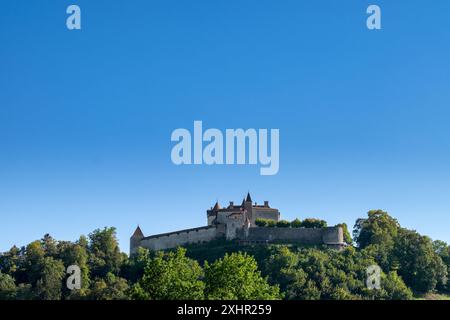 Eine Burg liegt auf einem Hügel mit einem klaren blauen Himmel im Hintergrund. Das Schloss ist von Bäumen umgeben und er ist eine friedliche und ruhige Lage Stockfoto