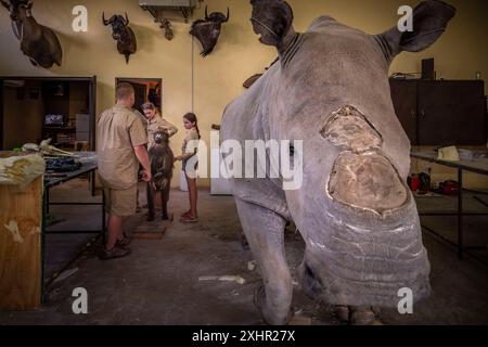 Namibia, Otjozondjupa Region, Otjiwarongo, Kings Taxidermy, Präparierwerkstatt für Jagdtrophäen Stockfoto