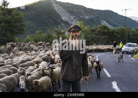 Frankreich, Alpes de Haute Provence, Verdon Hochtal, Saint Andre les Alpes, Routo, ein Wanderweg mit Patricia und Adriens Herden. Trans Stockfoto