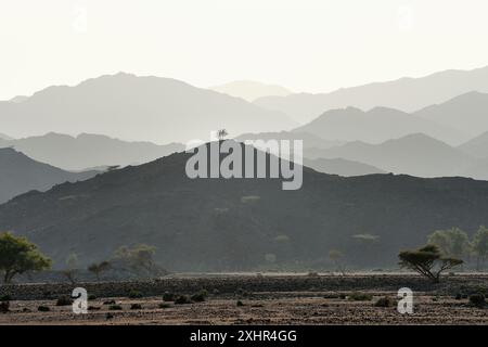 Sultanat Oman, Gouvernement von North Ash Sharqiyah, Berge westlich von Ibra Stockfoto