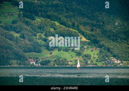 Ein Segelboot segelt auf einem See in der Nähe einer Stadt. Das Segelboot ist klein und weiß. Der See ist ruhig und das Wasser ist klar. Die Stadt ist von Bäumen umgeben Stockfoto