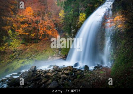 Frankreich, Isère (38), Parc naturel régional de Chartreuse, Saint-Pierre-d'Entremont, le Cirque de Saint-Même, Cascade sur le Guiers Vif et forêt au feui Stockfoto