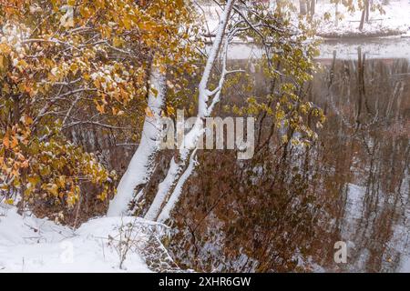 Bäume lehnten sich über das Wasser des Teiches. Erster Schnee. Malerische Herbstlandschaft. Anfang des Winters. Interseason. Stockfoto
