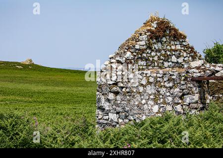 Altes und abgelegenes herunterfallendes Stallgebäude in einer Hügellandschaft Stockfoto