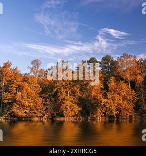 Schöne Herbst Farben Wald spiegelt sich im Fluss Stockfoto