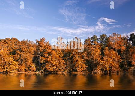 Schöne Herbst Farben Wald spiegelt sich im Fluss Stockfoto