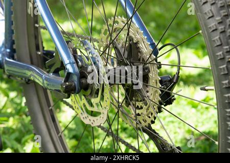 Hinterrad mit modernem Mountainbike-Scheibenbremssystem, Kasette und Schaltwerk Stockfoto