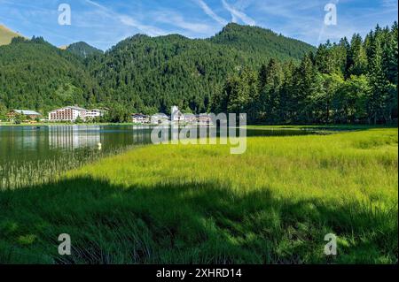 Bergsee mit Teich Schachtelhalm, Wasserschachtelhalm (Equisetum fluviatile) und Dorf Spitzingsee, Gemeinde Schliersee, hinter den Bergen Raukopf Stockfoto