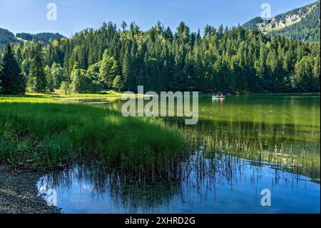 Spitzingsee, Bergsee mit Teich-Schachtelhalm, Wasser-Schachtelhalm (Equisetum fluviatile), Ausflug, Paar im Ruderboot, Gemeinde Schliersee Stockfoto