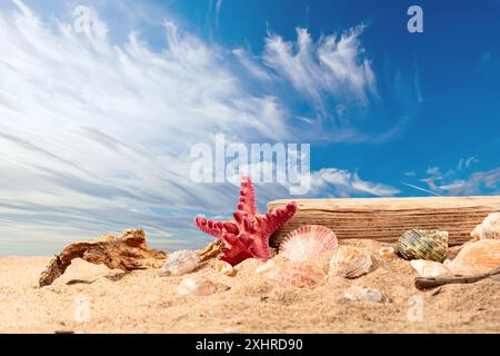 Abstrakte Sommer-Strandszene mit einer Komposition aus Sand und Muscheln. Stellen Sie Ihr Produkt auf ein altes Holzbrett. Kopierbereich. Stockfoto