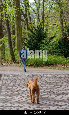 Walker mit Hund im Großen Tiergarten, Berlin Stockfoto