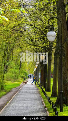 Walker mit Hund im Großen Tiergarten, Berlin Stockfoto