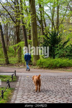 Walker mit Hund im Großen Tiergarten, Berlin Stockfoto