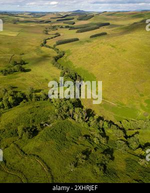 Drohnenblick auf das Allan Water Valley in der Nähe der Skelfhill Farm, Hawick Scottish Borders. UK Stockfoto