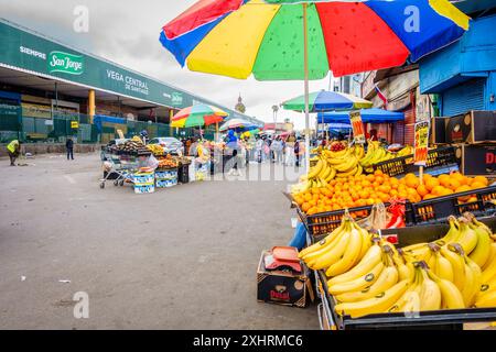 Santiago, Chile, 18. September 2022: Morgenszene auf La Vega Central - dem größten Obst- und Gemüsemarkt in Chile Stockfoto