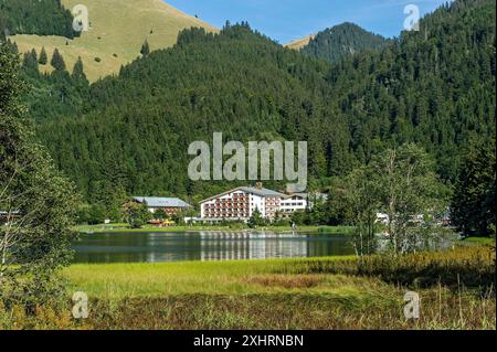 Arabella Alpenhotel, Bergsee mit Teich-Schachtelhalm, Wasser-Schachtelhalm (Equisetum fluviatile) und Dorf Spitzingsee, Gemeinde Schliersee Stockfoto