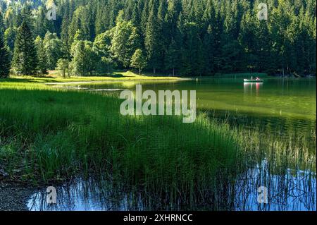 Spitzingsee, Bergsee mit Teich-Schachtelhalm, Wasser-Schachtelhalm (Equisetum fluviatile), Ausflug, Paar im Ruderboot, Gemeinde Stockfoto