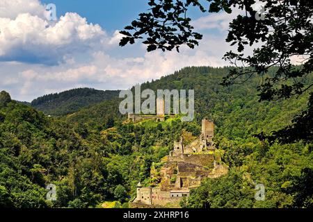 Panoramablick auf die beiden Schlösser Oberburg und Niederburg von Manderscheid, Südeifel, Eifel, Rheinland-Pfalz, Deutschland Stockfoto