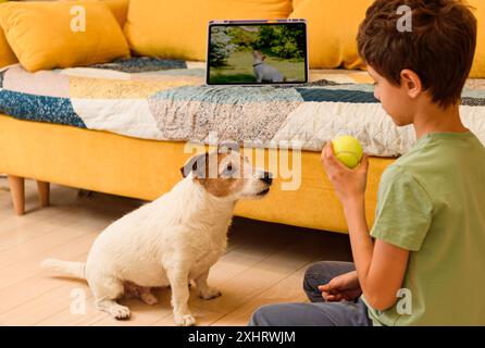 Junge, der Online-Schulungen auf einem Tablet-Computer ansieht und Befehle mit seinem Hund wiederholt Stockfoto