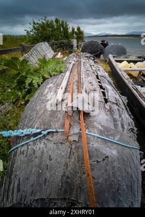 Ein altes, unbenutztes und verwittertes Currach, das sich am Kai von Kildavnet am Atlantic Drive, Achill Island, County Mayo, Irland, auflöst Stockfoto