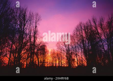 Brillante Sonnenaufgang Himmel über Laubwald, Chester County, Pennsylvania, USA Stockfoto