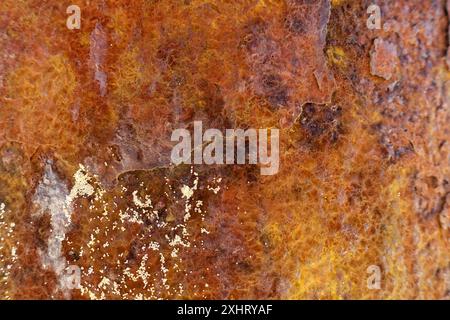 Abstrakter Hintergrund mit einer rostigen alten korrodierten Oberfläche aus Eisen, Nahaufnahme Stockfoto