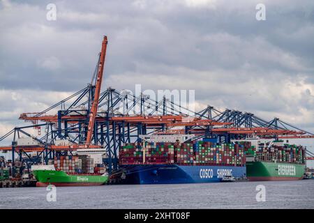 Euromax Container Terminal, BG Green Container Feedership, Container Frachter Cosco Shipping Universe, vorn und Ever Genius, Evergreen Reederei, wird be- und entladen, Seehafen von Rotterdam, Tiefseehafen Maasvlakte 2, auf einer künstlich angelegten Landfläche, Niederlande, Euromax Container Terminal *** Euromax Container Terminal, BG Green Container Feedership, Containerfrachter Cosco Shipping Universe, vor und immer genial, Evergreen Reederei, die Be- und entladen wird, Seehafen Rotterdam, Tiefseehafen Maasvlakte 2, auf einem künstlichen Landgebiet, Niederlande, Euromax Container Stockfoto