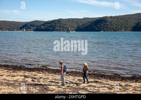 Palm Beach Sydney, Paar mittleren Alters am Strand, das Metalldetektoren zur Suche nach Münzen und Wertsachen verwendet, NSW, Australien Stockfoto