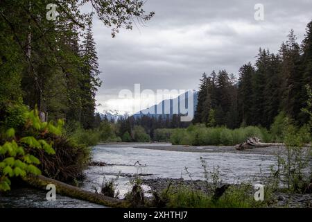 Wunderschöner Blick auf den Hoh River im Olympic National Park. Blick vom Hoh Rainforest mit Blick auf eine Bergkette. Hochwertige Fotos Stockfoto