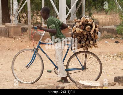 Junge, der Holz auf einem Fahrrad trägt, Yankari Game Reserve, Bauchi State, Nigeria, Afrika. Das Yankari Game Reserve ist eine der größten Touristenattraktionen Nigerias Stockfoto