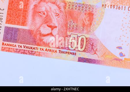 Banknoten der National Bank of South Africa, die auf 50-Rand-Banknoten lauten, Rückansicht Stockfoto