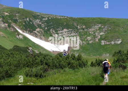 REGION ZAKARPATTIEN, UKRAINE - 14. JULI 2024 - Ein Tourist wird am höchsten Bergsee der Ukraine, Brebeneskul, gesehen, wo trotz der Temperatur von 35°C der Schnee noch nicht geschmolzen ist, im Karpaten-Biosphärenreservat, Bezirk Rakhiv, Region Zakarpattia, Westukraine Stockfoto