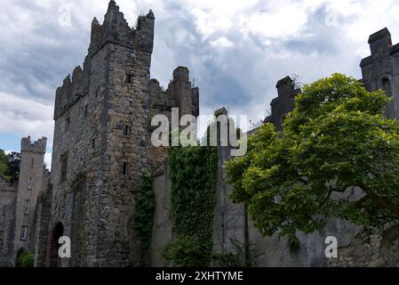 Irland - Howth Castle Stockfoto