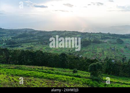 Schauplatz einer ausgedehnten Plantage auf einem Teegut in der Nähe von Karoit, West-Kenia-Highlands mit Blick auf das Great Rift Valley. Büsche im Vordergrund. Kenia, Afrika. Stockfoto