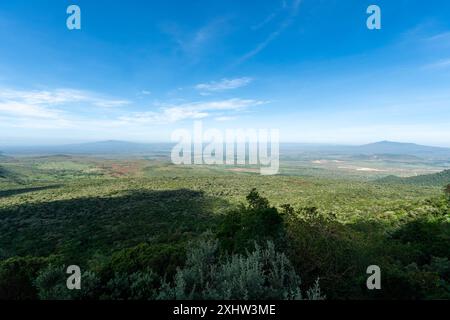 Schauplatz einer ausgedehnten Plantage auf einem Teegut in der Nähe von Karoit, West-Kenia-Highlands mit Blick auf das Great Rift Valley. Büsche im Vordergrund. Kenia, Afrika. Stockfoto