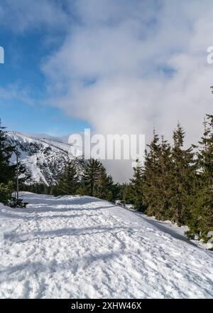 Blick auf die Berge an einem sonnigen Wintertag. Karkonosse-Gebirge im Winter, Sniezka, Polen Stockfoto