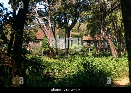 Giraffen-Gutshaus zwischen den Bäumen. Das Wahrzeichen von Nairobi, Kenia. Stockfoto