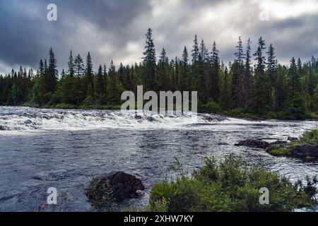 Ein Blick auf die Stromschnellen am Fluss Storån in Dalarna, Schweden, die durch einen üppigen nordischen Wald unter einem dramatisch bewölkten Morgenhimmel fließen Stockfoto