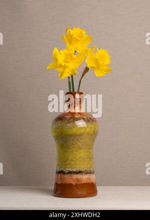 Drei gelbe Narzissen in einer Vase auf hellgrauem Hintergrund. Viel Platz für Beschriftungen. Postkarte, Glückwunsch, Wünsche. Stillleben im Frühling Stockfoto